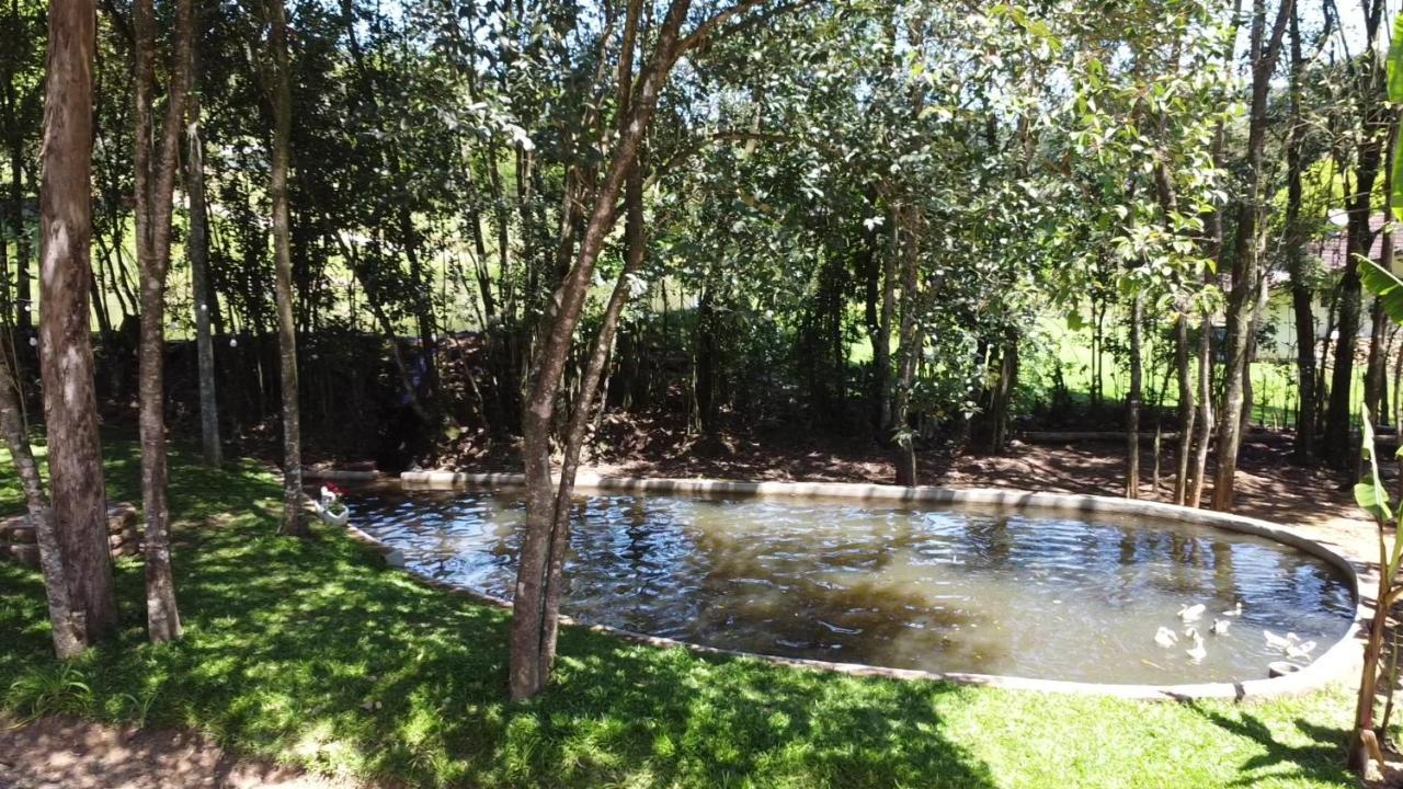 Bento Gonçalves Casa Na Arvore Com Hidro, Piscina, Trilha, Cavalo מראה חיצוני תמונה